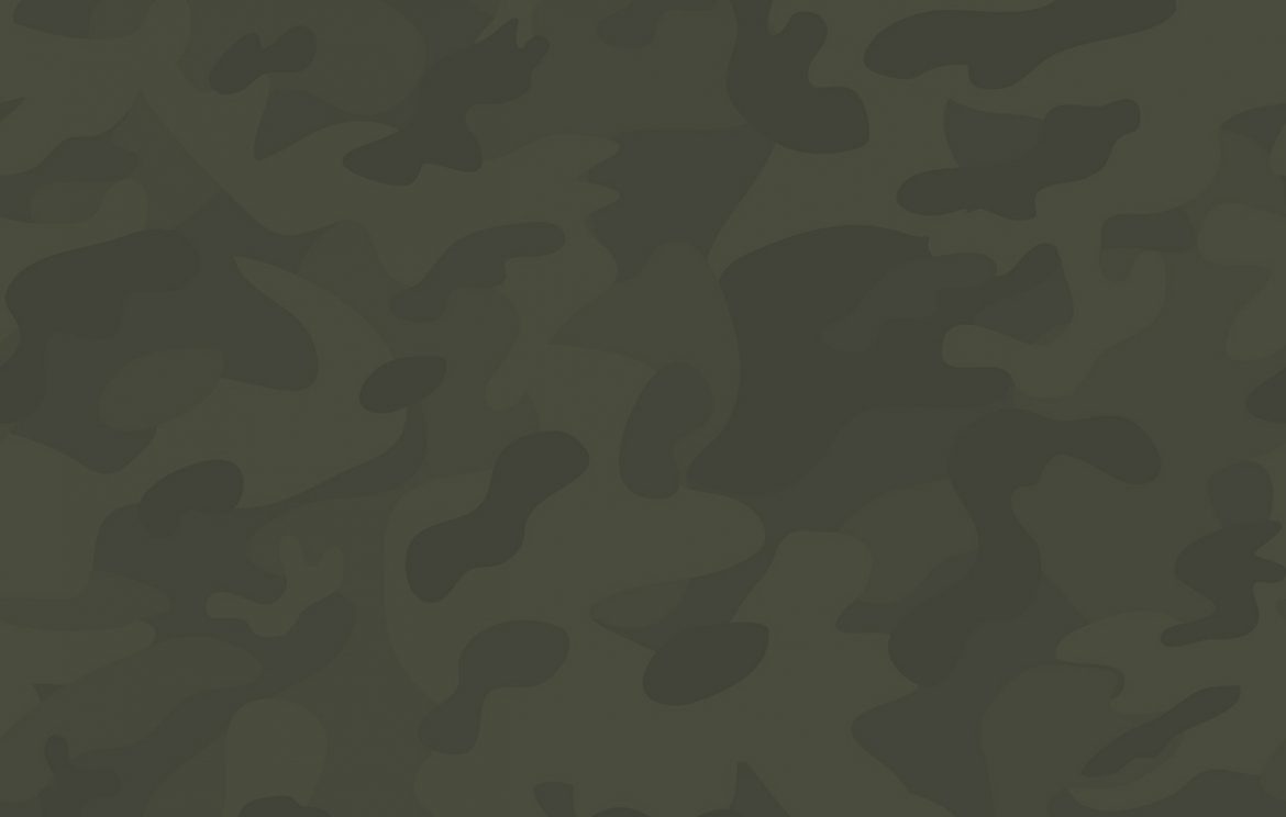 camo-1.jpg